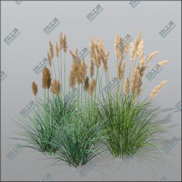 images/goods_img/20210312/Archviz grasses vol.1/5.jpg